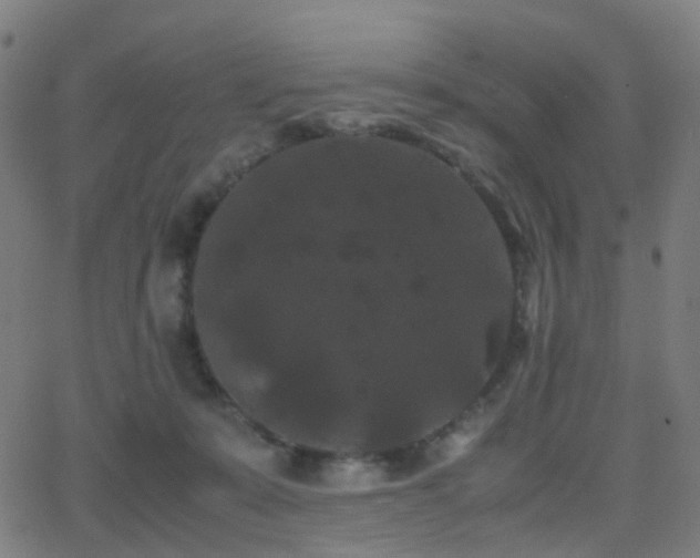 X0000062830319200601131305