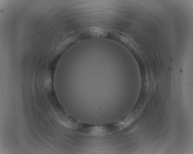 X0000062830320200601131305