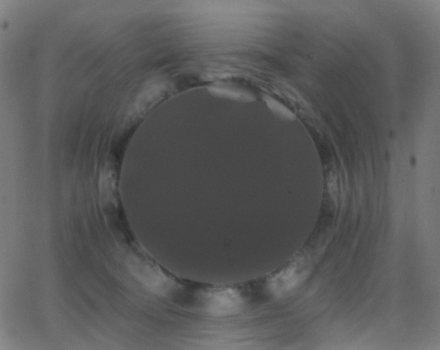 X0000062830322200601131305