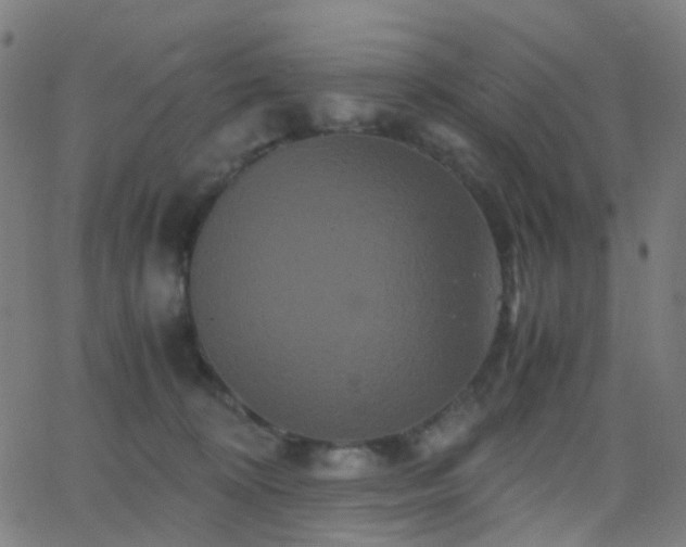 X0000062830324200601131304