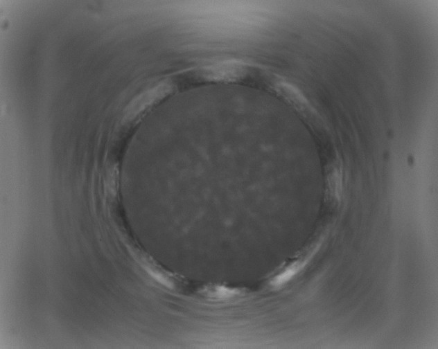 X0000062830325200601131304