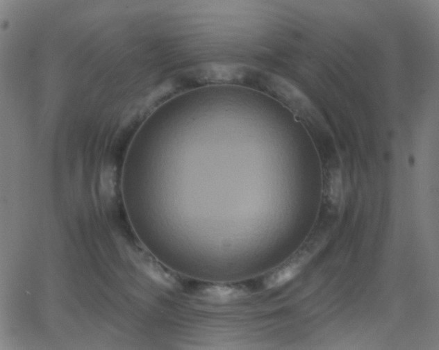 X0000062830326200601131304