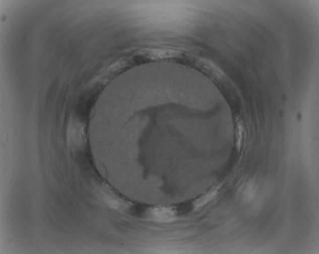 X0000062830327200601131304