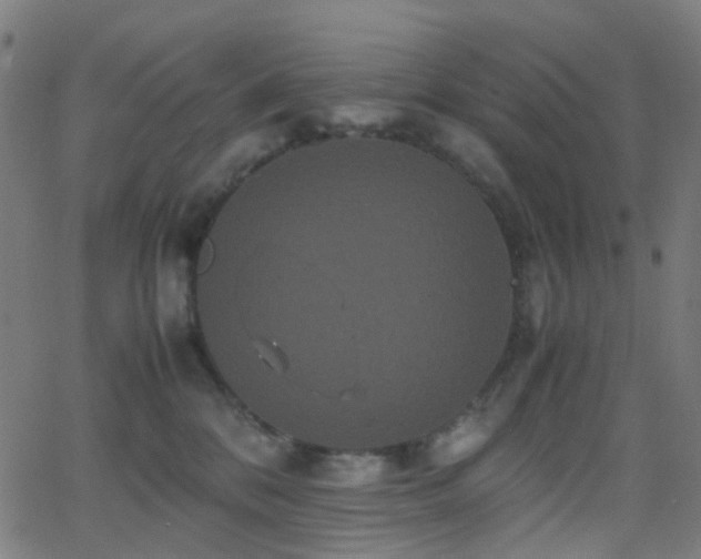 X0000062830328200601131304