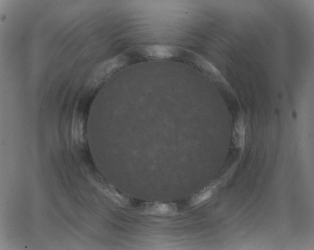 X0000062830330200601131304