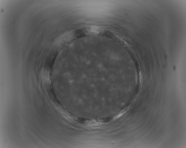 X0000062830331200601131304