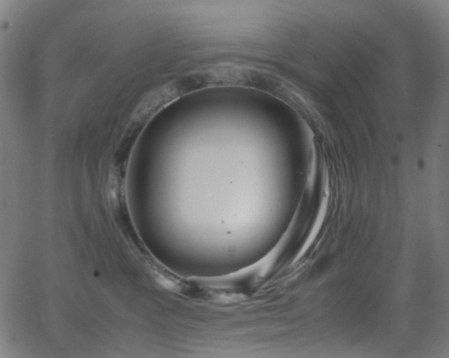 X0000062830333200601131304