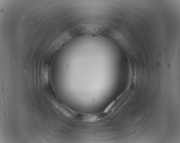 X0000062830334200601131304