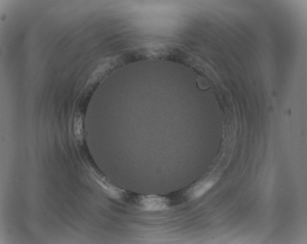 X0000062830336200601131304