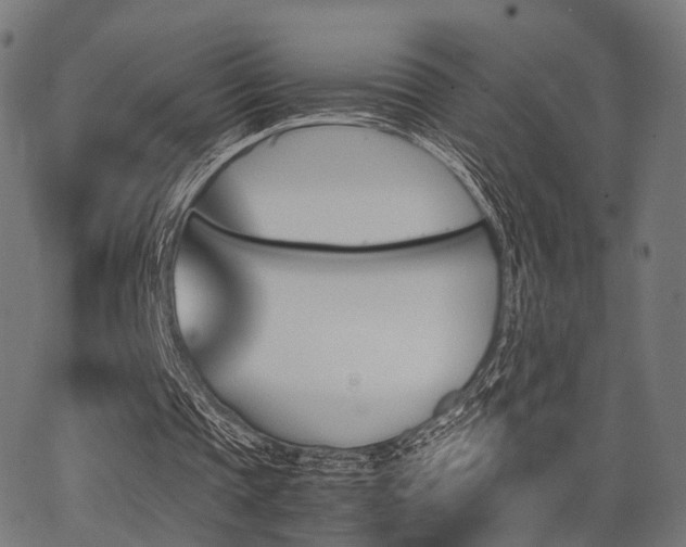 X0000062830337200601131303