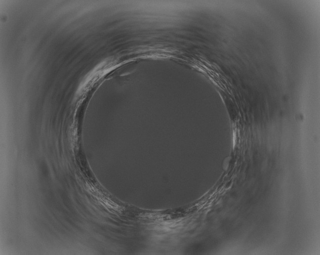 X0000062830339200601131304