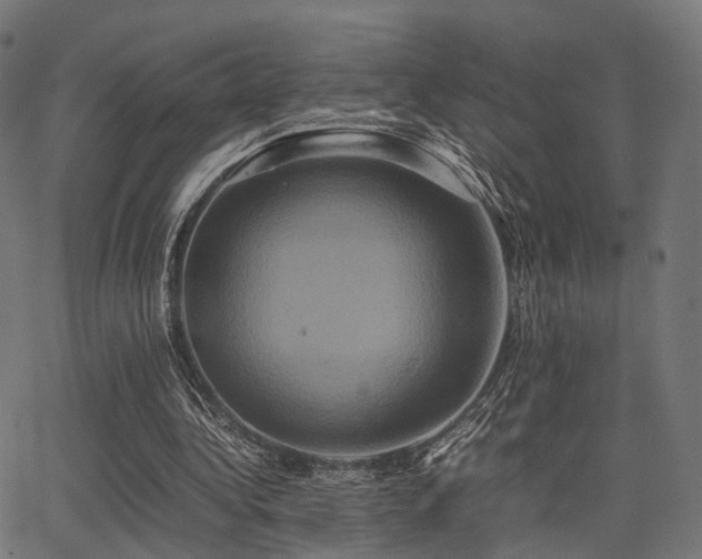 X0000062830340200601131304