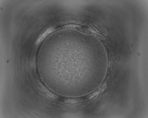 X0000062830341200601131304