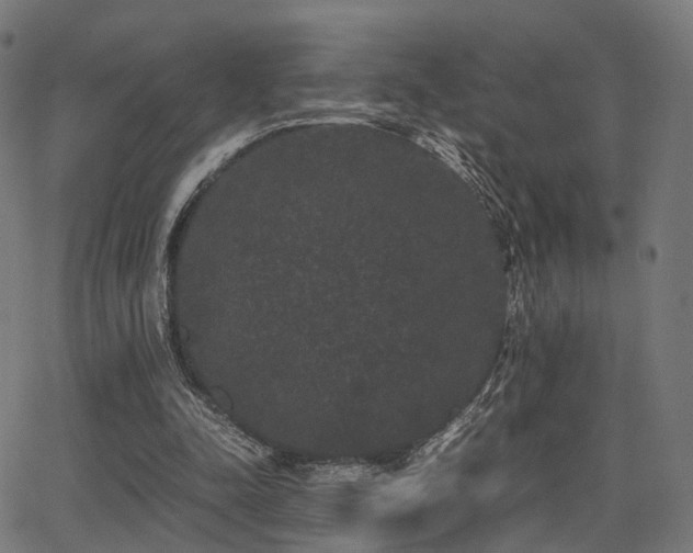 X0000062830342200601131304