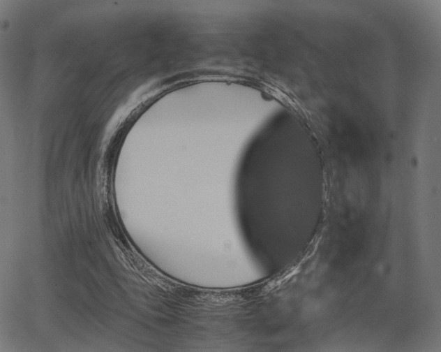 X0000062830343200601131304