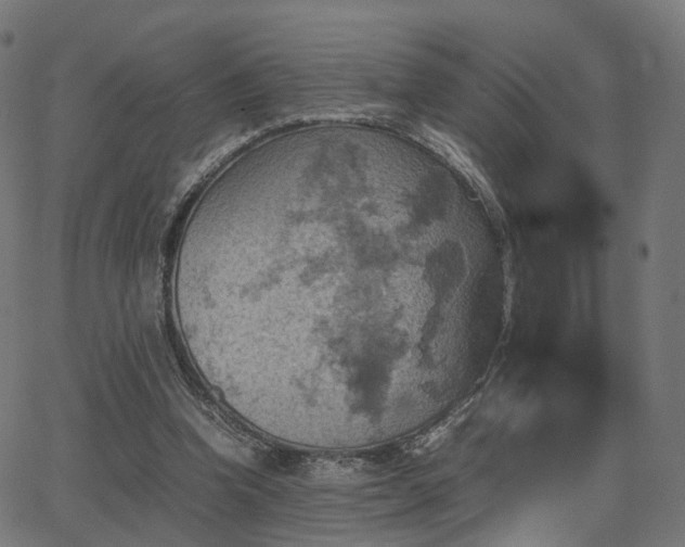 X0000062830346200601131304