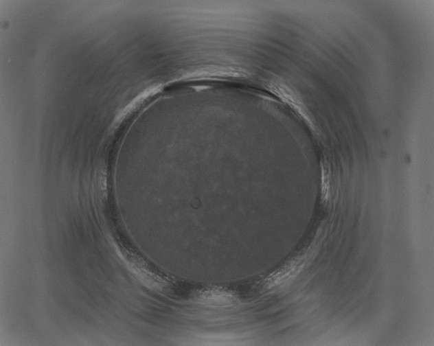 X0000062830348200601131304