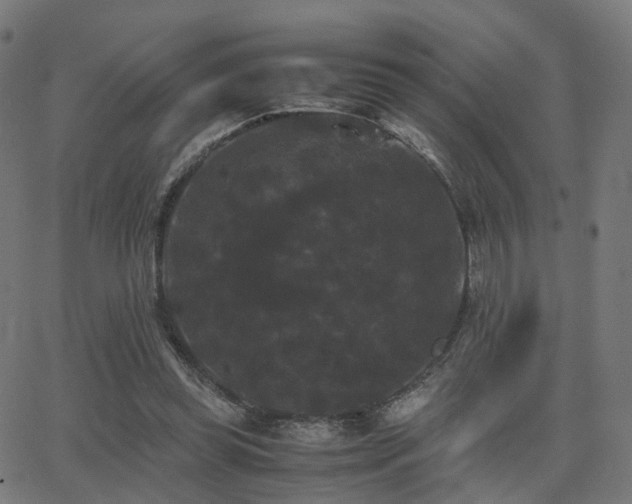 X0000062830349200601131304