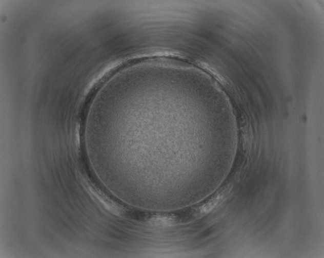 X0000062830350200601131304