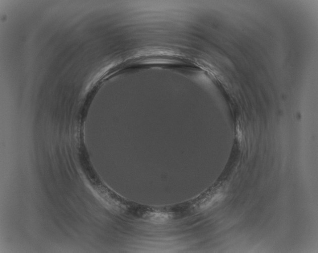 X0000062830352200601131304