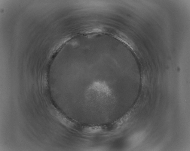 X0000062830353200601131304