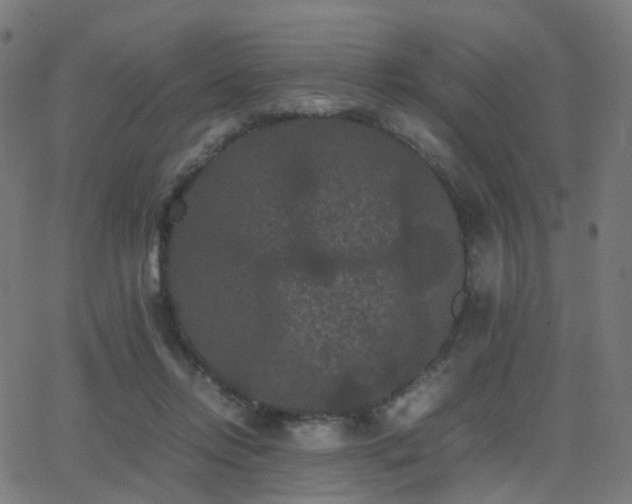 X0000062830358200601131304