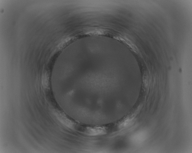 X0000062830359200601131304