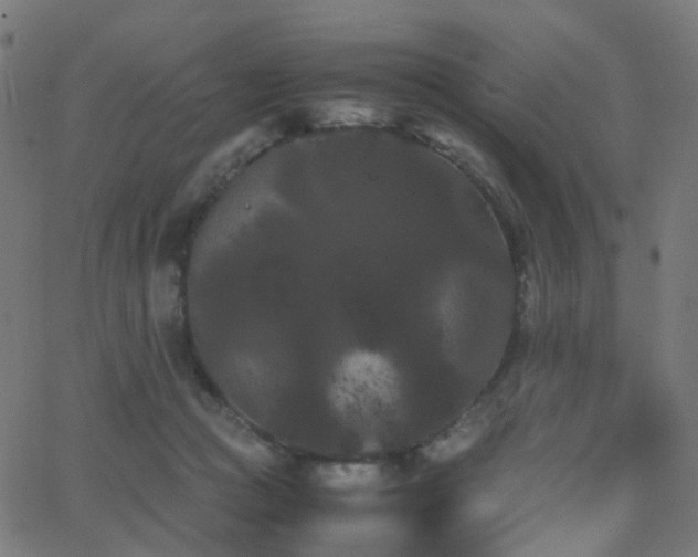 X0000062830361200601131304