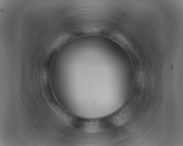 X0000062830362200601131304