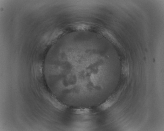 X0000062830363200601131304