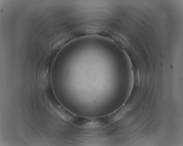 X0000062830364200601131304