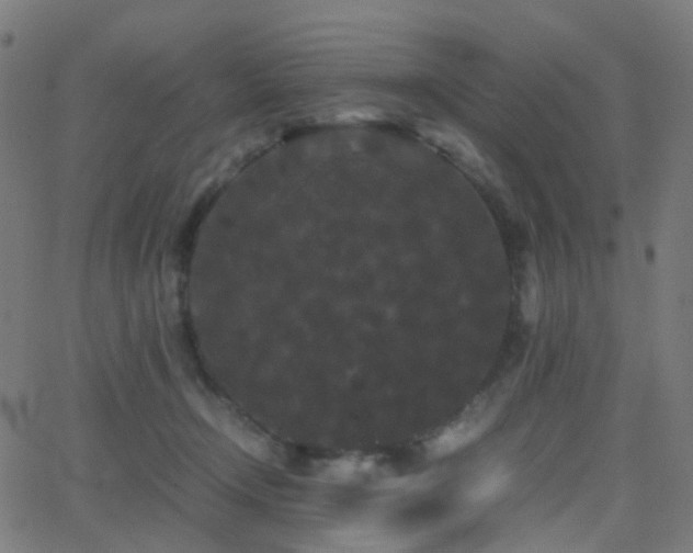 X0000062830366200601131304