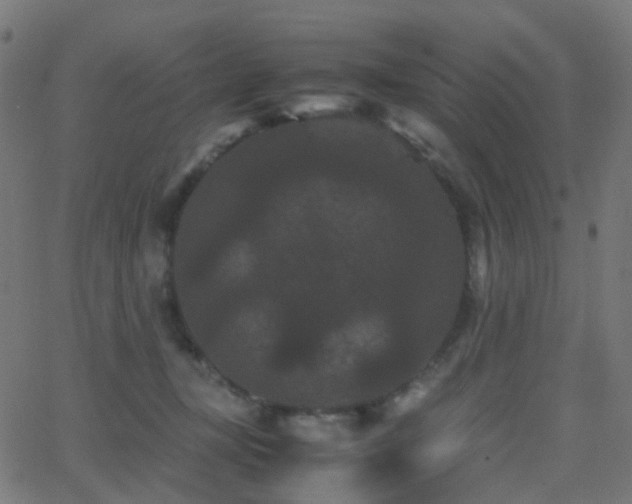 X0000062830367200601131304