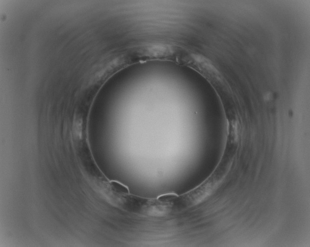 X0000062830368200601131304