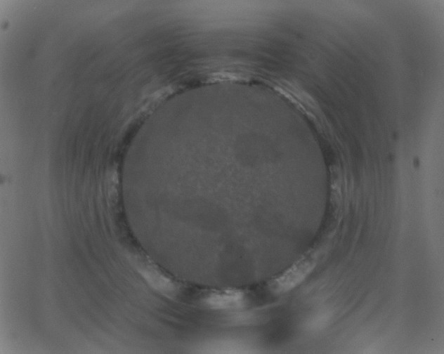 X0000062830369200601131304