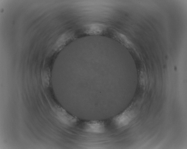 X0000062830370200601131304