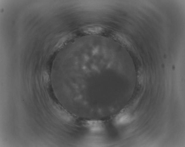 X0000062830371200601131304