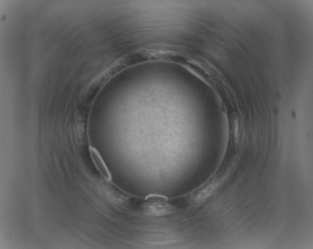 X0000062830372200601131304