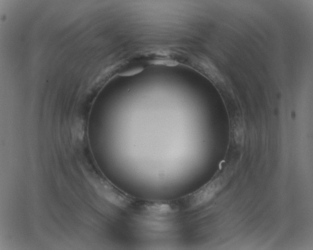 X0000062830374200601131304