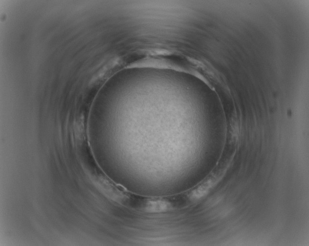 X0000062830376200601131304