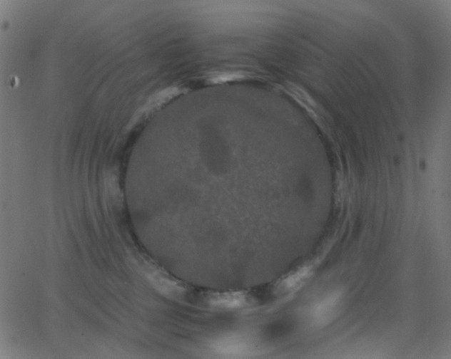 X0000062830377200601131304