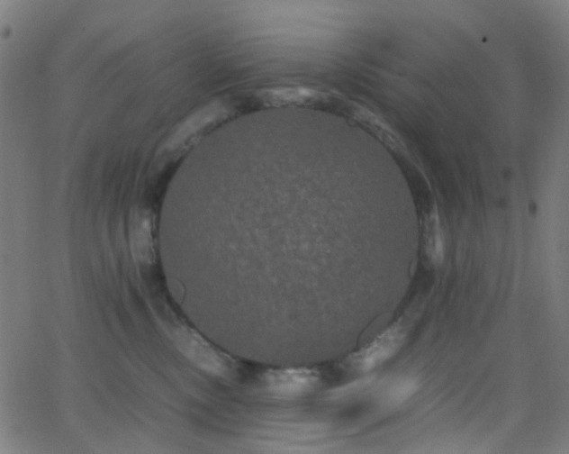 X0000062830378200601131304