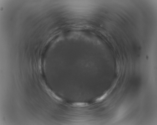 X0000062830380200601131304