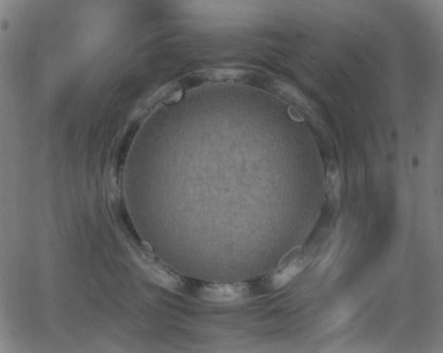 X0000062830381200601131304