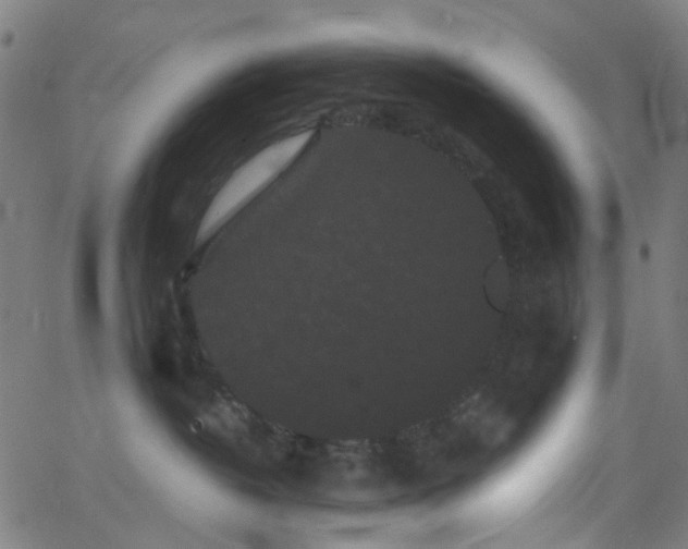 X0000062830382200601131304