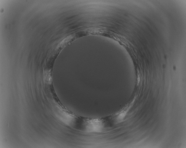 X0000062830383200601131304