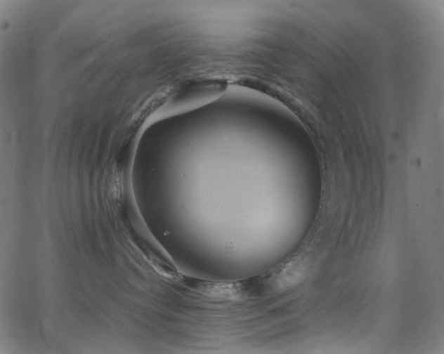 X0000062830384200601131304