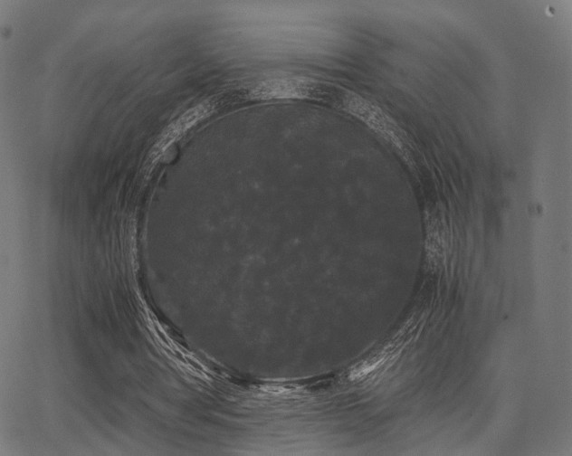 X0000062830386200601131303