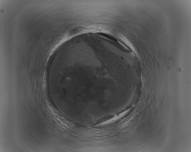 X0000062830387200601131303