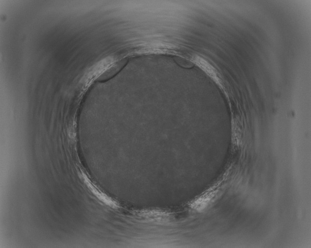 X0000062830389200601131303